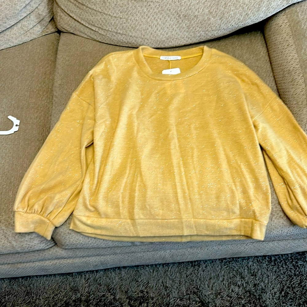 Chris and Carol sparkle sweater